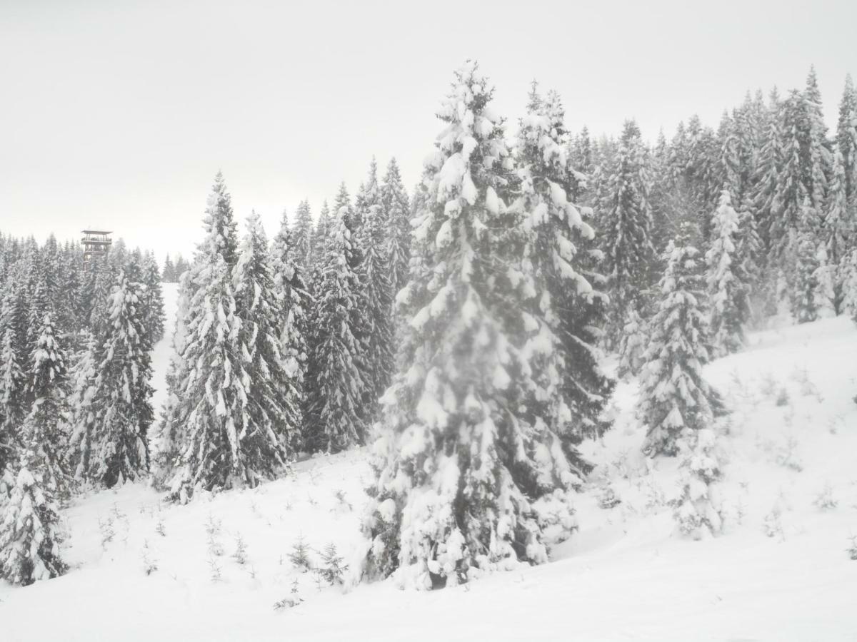 Apártmany Velká Lomnica B4-AD1 Esterno foto
